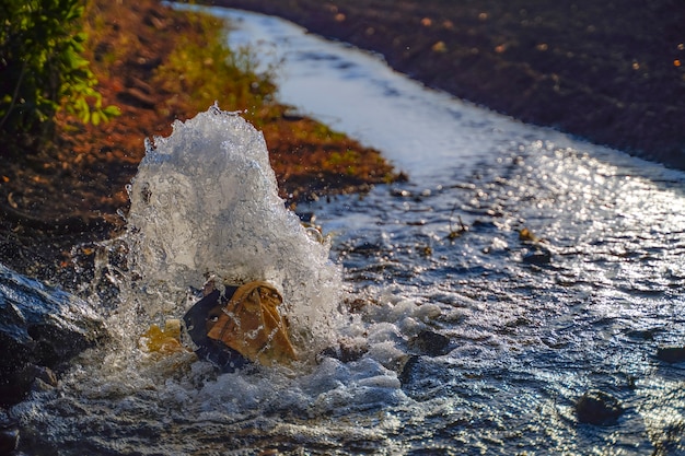 Débit d'eau d'irrigation du tuyau au canal pour les champs agricoles, flash d'eau au ralenti