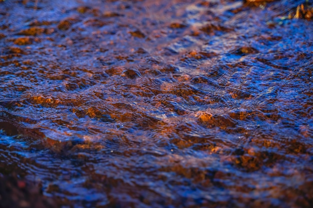 Débit d'eau d'irrigation du tuyau au canal pour les champs agricoles