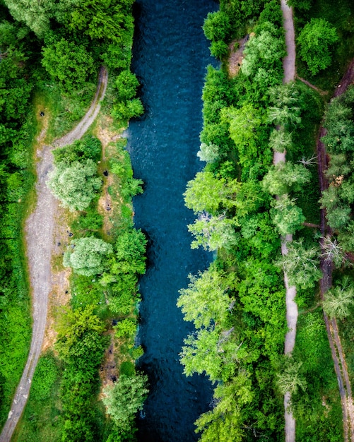 Photo débit de la rivière