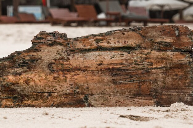 Débris marins échoués sur la plage du complexe