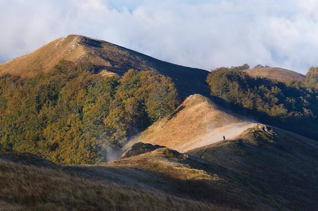 Début de l'automne dans les montagnes. Paysage de jour. Carpates, Ukraine, Europe