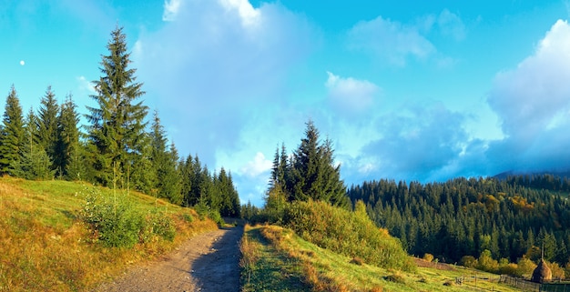 Début De L'automne Matin Dans La Montagne Des Carpates, Ukraine