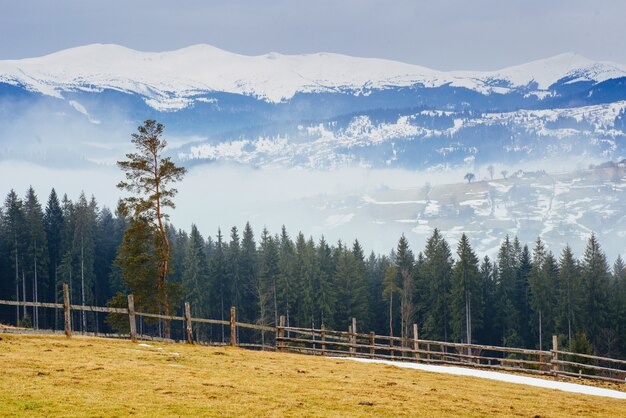 Le début du printemps en montagne