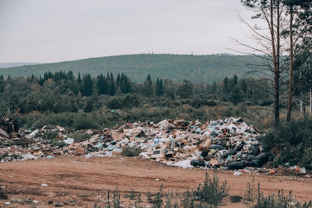 Décharge illégale au milieu de la forêt et du champ. Montagnes d'ordures