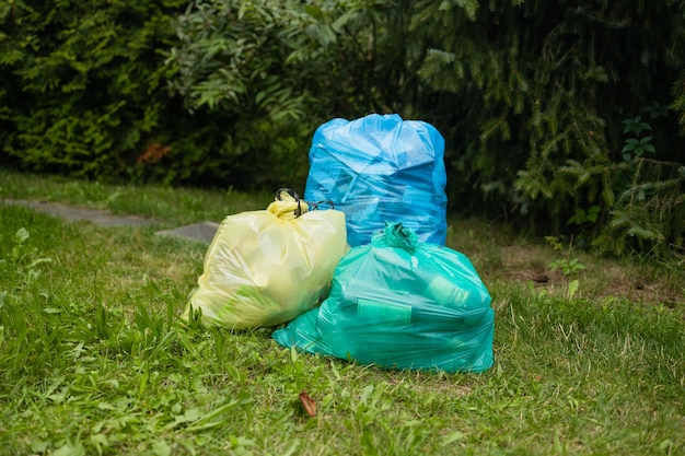 Déchets dans de grands sacs en plastique noir dans la forêt naturelle au nettoyage de printemps de la nature de haute qualité p