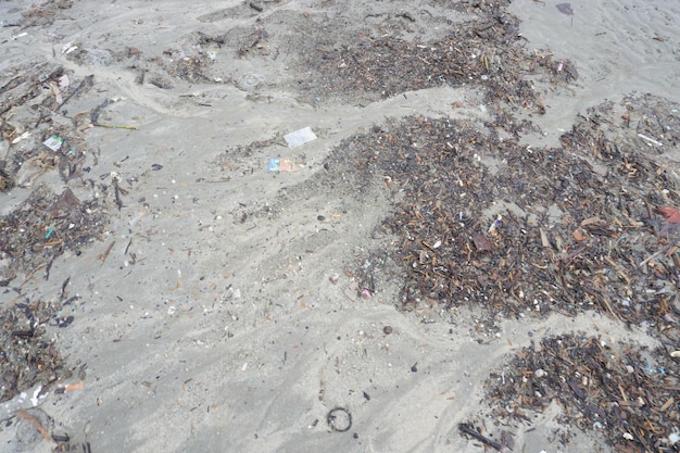 Photo déchets et débris de plage