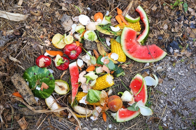 Déchets domestiques pour le compost de fruits et légumes dans le jardin Vue de dessus