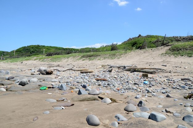 Déchets marins au bord de la mer