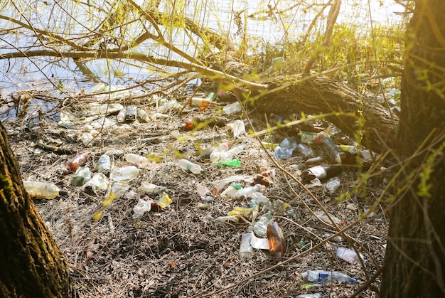 Déchets plastiques dans la nature Pollution de l'environnement Catastrophe écologique Eau sale verte