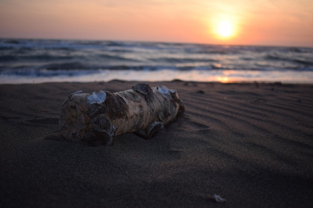 Déchets plastiques déversés sur la plage