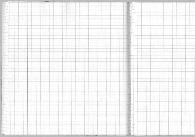 Des déchirures de papier réalistes