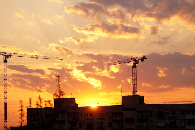 Photo déclin de la ville en soirée contre les grues de chantier