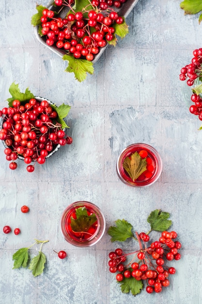 Une décoction de baies de viorne mûres dans des verres transparents et de baies de viorne dans des bols à côté de la table. Médecine alternative, nutrition vitaminée et bien-être. Vue de dessus et verticale