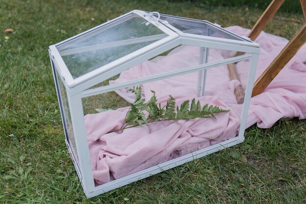 Décor d'arches et de chaises pour la cérémonie de mariage