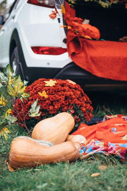 Décor d'automne avec une citrouille et un plaid rouge sur fond de feuilles jaunes de voiture blanche