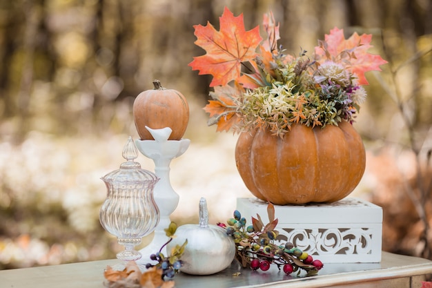 Décor D'automne Dans La Forêt