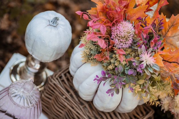 décor d'automne dans la forêt