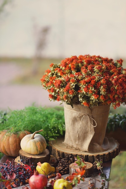 décor d'automne décoré dans un style rustique aux couleurs chaudes avec fleuristerie d'automne
