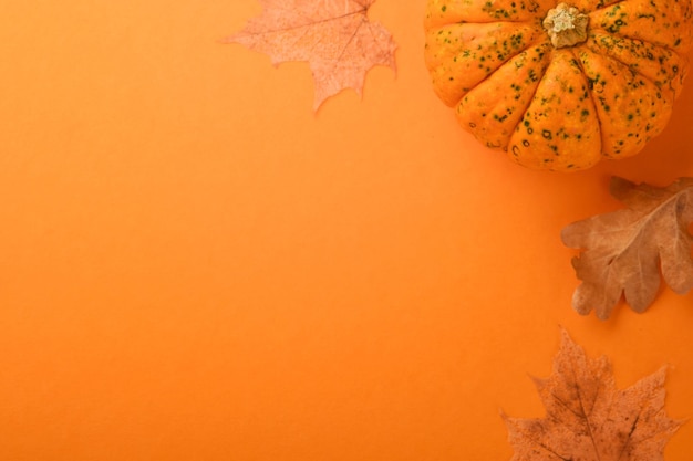 Décor d'automne festif à partir de citrouilles et de feuilles de chêne sèches sur fond orange Conception de carte postale d'Halloween ou de Thanksgiving Composition d'automne à plat avec espace de copie Bannière Vue de dessus