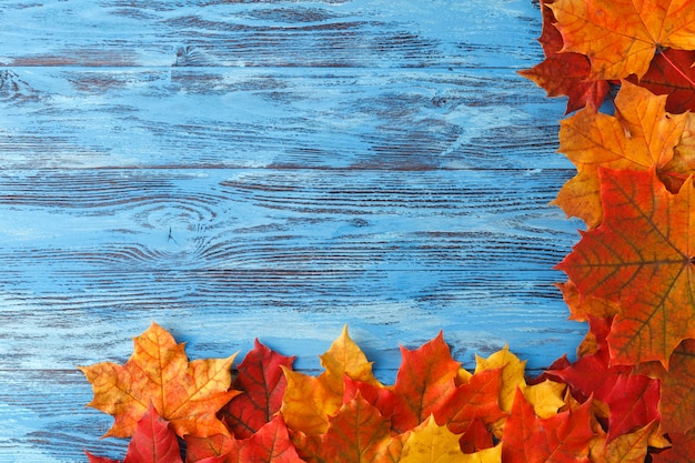 Décor d'automne avec des feuilles d'érable rouge