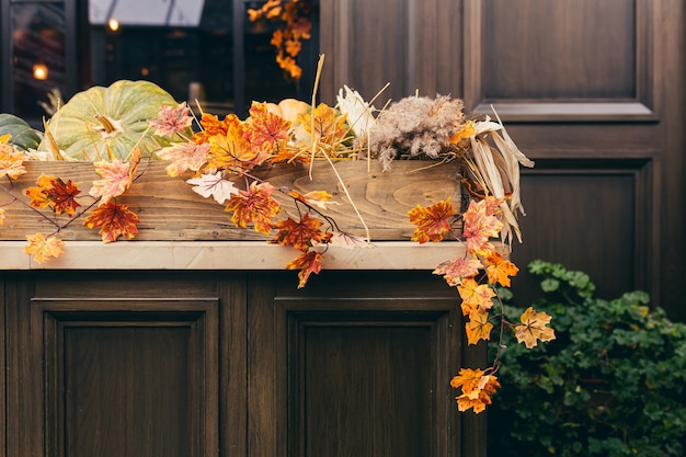 décor d'automne, feuilles jaunes et citrouilles