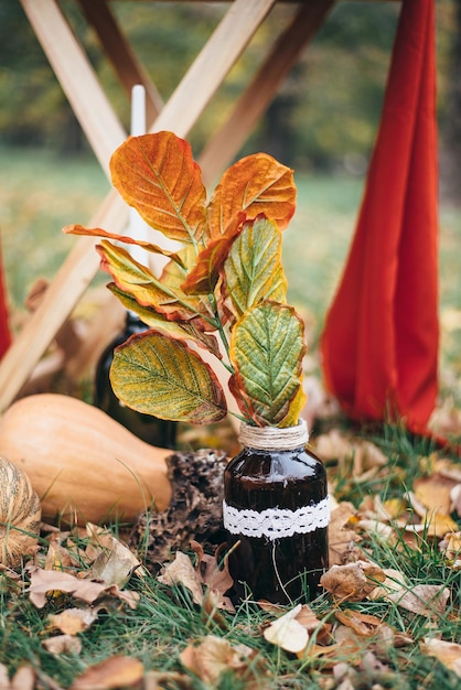 Décor d'automne avec un vase de citrouille dans lequel des feuilles jaunes se trouvent à l'extérieur dans le parc