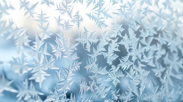 Le décor défoulé des vitres glacées ressemble à une mosaïque soigneusement conçue avec de la glace minuscule.