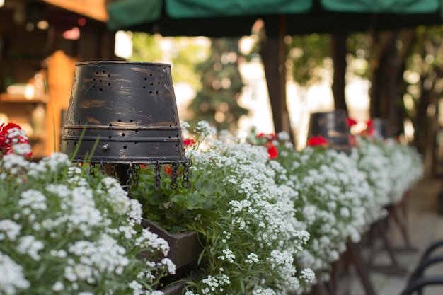 Décor avec des fleurs dans la rue