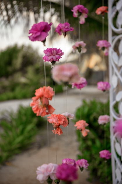 Décor de fleurs de roses blanches et roses sur une arche de mariage