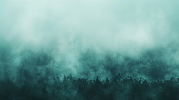 Photo le décor de la forêt brumeuse
