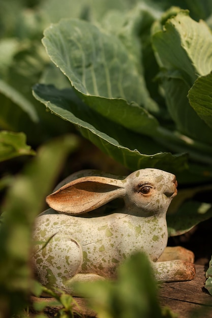 décor de jardin en forme de lièvre dans un chou