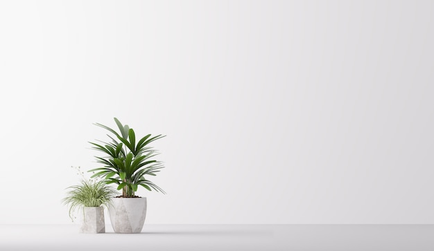 Décor à la maison de plante d'intérieur minimal isolé