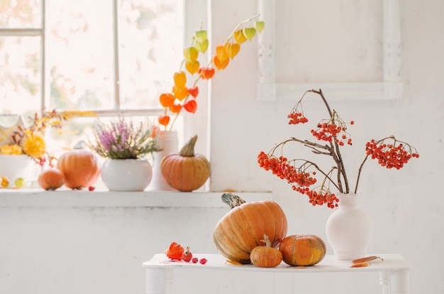 Décor naturel d'automne avec des citrouilles et des baies de sorbier sur fond blanc