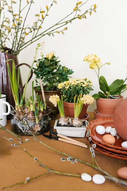 Décor de vacances de Pâques Jonquilles et jacinthes dans un pot oeufs et branches dans des vases