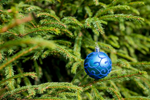 Décoration d'arbre de Noël. Boule de Noël avec branche de pin. Branches de pin vert et boule de Noël bleue.