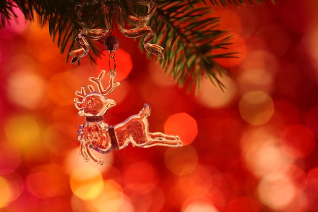 Décoration d'arbre de Noël sur branche de sapin - faible profondeur de champ