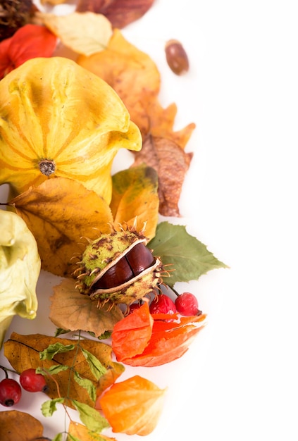 Décoration d'automne arrangée avec des feuilles sèches, des citrouilles et plus, isolé sur blanc, grand format