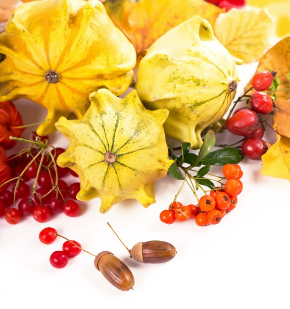 Décoration d'automne arrangée avec des feuilles sèches, des citrouilles et plus, isolé sur blanc, grand format