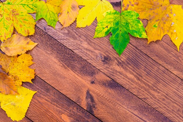 Décoration d'automne avec de la citrouille et des feuilles