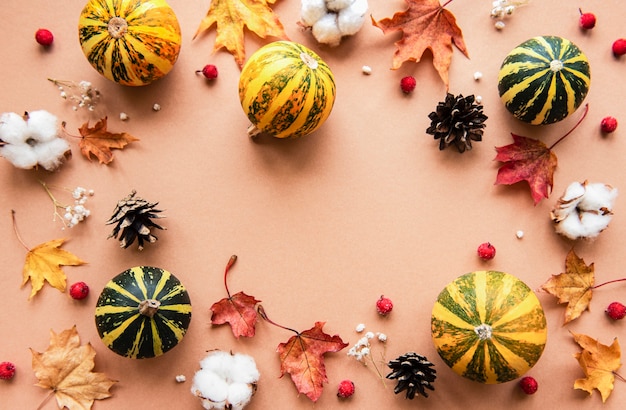 Décoration d'automne avec des citrouilles et des feuilles d'érable sèches sur brun