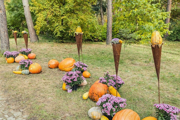 Décoration d'automne de fleurs de citrouille et de chrysanthème d'Halloween dans le parc