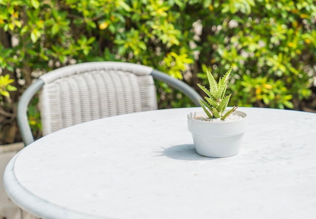 décoration de cactus sur table