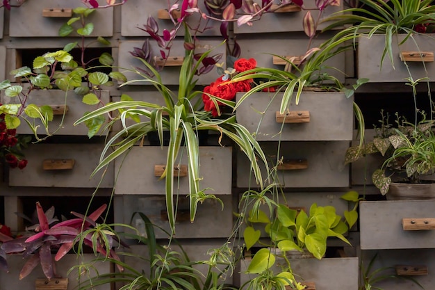 Décoration "Catalogue des plantes" dans la serre. Pots insolites