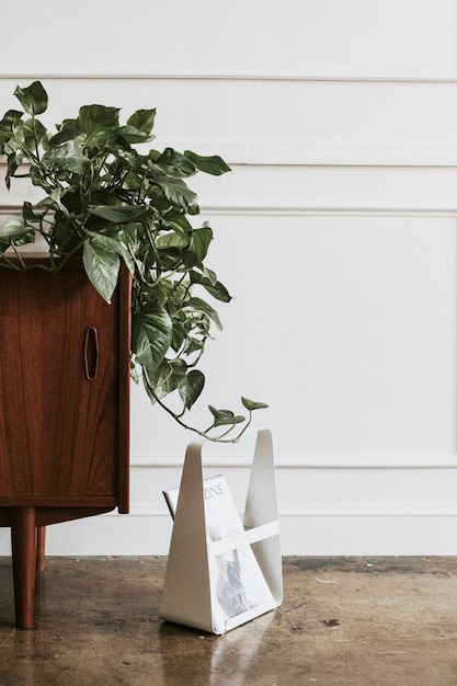 Décoration de chambre avec une plante