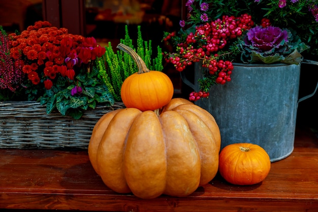 Décoration de fleurs et de citrouilles pour Thanksgiving.