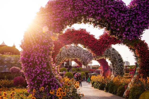 Décoration en forme de coeur au jardin Miracle à Dubaï magnifique parc avec beaucoup de fleurs