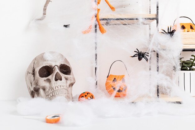 Décoration intérieure d'Halloween avec des chauves-souris, toile d'araignée, crâne isolé
