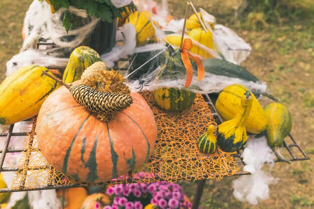 Décoration de jardin Halloween citrouilles avec toile de fleurs et pommes de pin