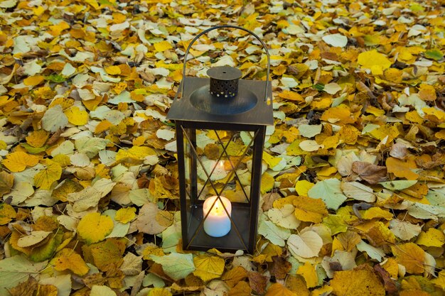 Décoration de mariage en forêt avec cérémonie de mariage