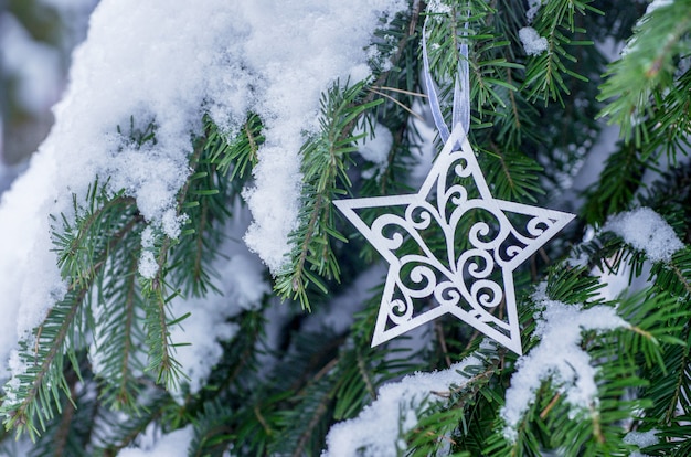 Décoration de Noël avec de la neige sur la nature d'hiver